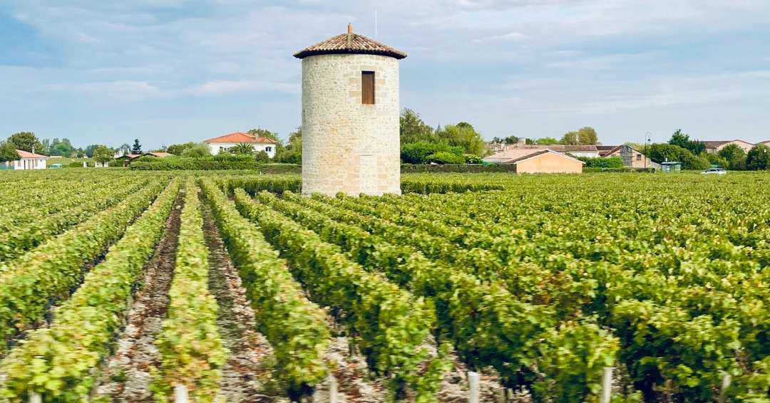 Vinyard with round silo building